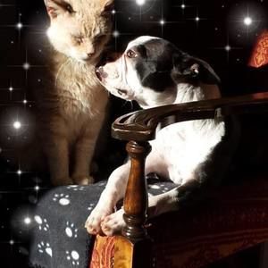 Meet your Posher, Louise